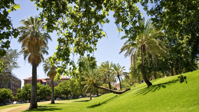 Adelaide Women's Memorial garden