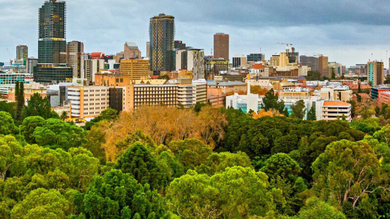 Adelaide botanic garden trees with CBD in the background