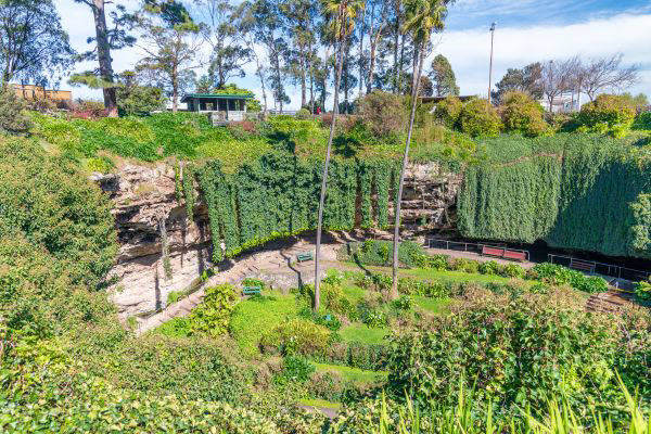 Mount gambier orchard